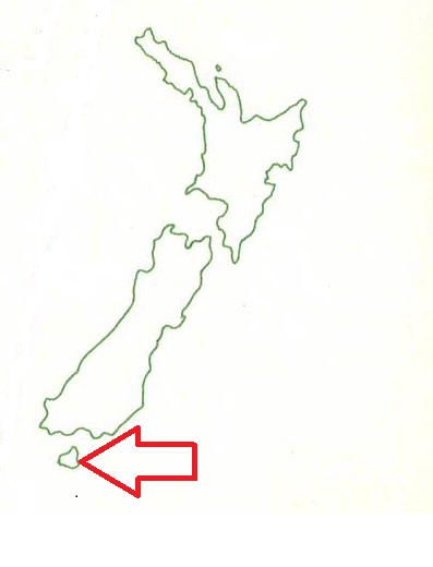 ニュージーランド　白地図　2020 08 28　赤矢印　ラキウラ　